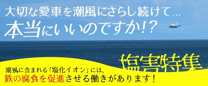 大切な愛車を潮風にさらし続けて本当にいいのですか？